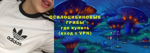 дурь Ладушкин