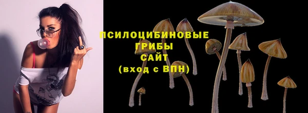 марихуана Лабытнанги