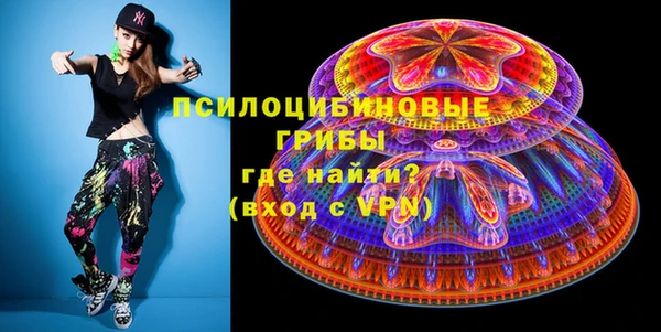 дурь Ладушкин