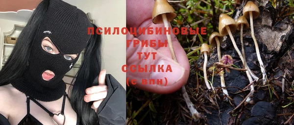 мескалин Лагань