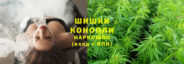 дурь Ладушкин