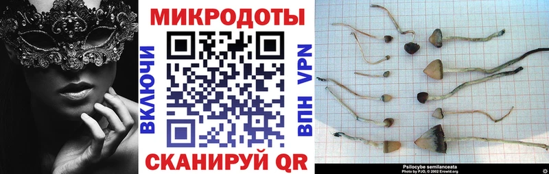 Купить где  Камбарка  Псилоцибиновые грибы мицелий 